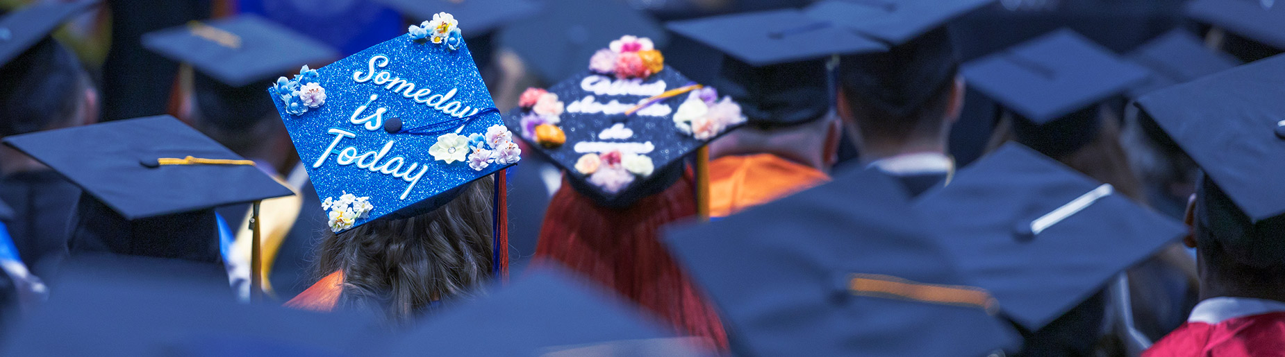 Graduation viewed from behind seated graduates