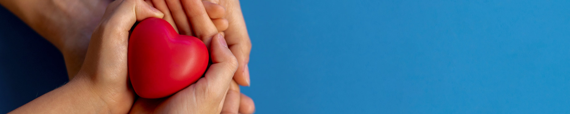 hands holding a heart stress ball